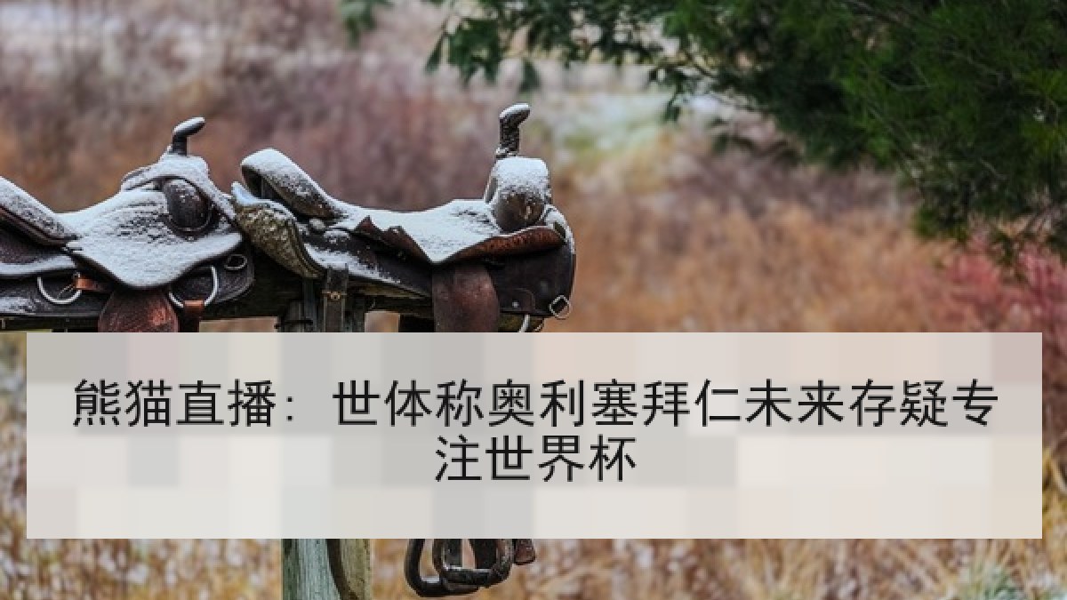 熊猫直播: 世体称奥利塞拜仁未来存疑专注世界杯 熊猫直播: 世体称奥利塞拜仁未来存疑专注世界杯